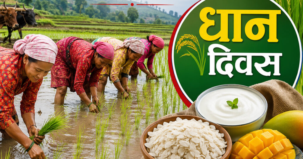 सांस्कृतिक पर्व असार १५ः धान दिवससहित दही चिउरा खाएर मनाइँदै