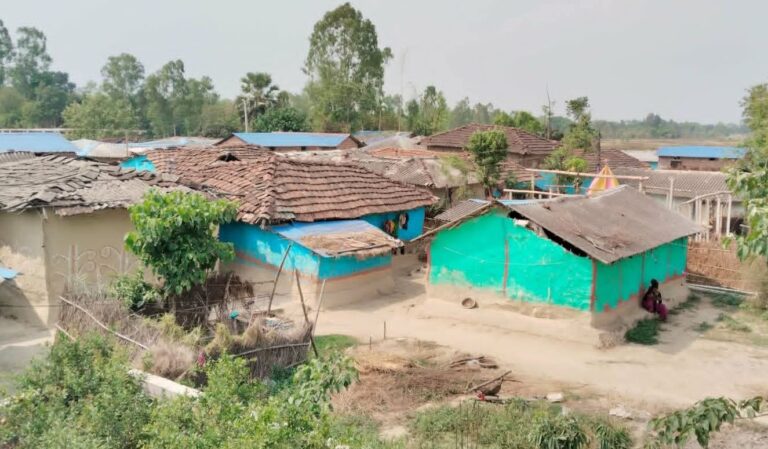 दशक अघि खुला दिसामुक्त घोषणा, मुसहर बस्ती अझै शौचालयविहीन