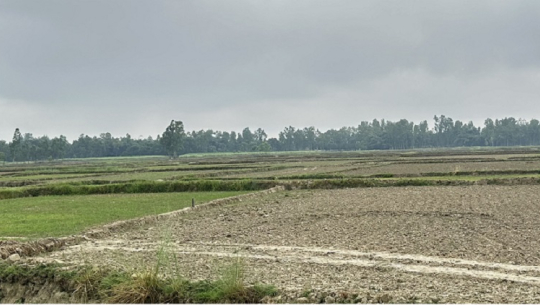 भूमिहीन र अव्यवस्थित बसोबासीको जग्गा व्यवस्थापनका लागि कञ्चनपुरमा नापनक्सा तीव्र