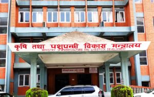 बर्डफ्लु प्रभावित किसानलाई क्षतिपूर्तिका लागि ५० करोड निकासा