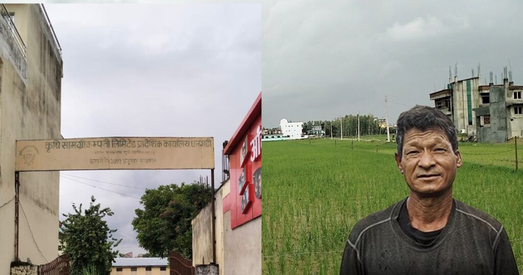 डिएपीको चरम अभाव झेलिरहेका किसानलाई साल्ट ट्रेडिङको ढाडस– युरियाको अभाव हुँदैन