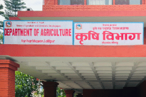 १८ जिल्लाका ५८ स्थानीय तहमा बीउ उत्पादन कार्यक्रम सञ्चालन