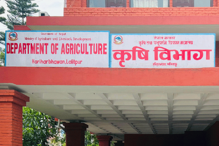 १८ जिल्लाका ५८ स्थानीय तहमा बीउ उत्पादन कार्यक्रम सञ्चालन